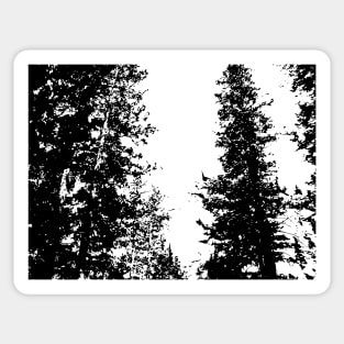 Black and White Colorado Pines Sticker